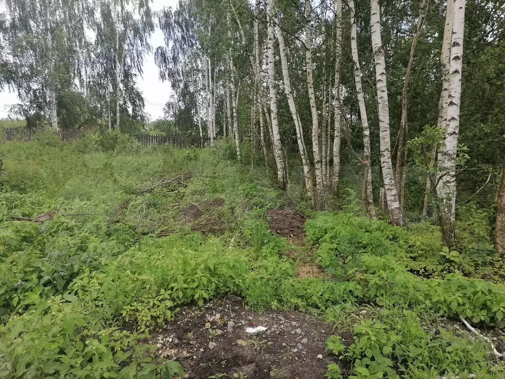 Участок 6 сот. (ИЖС) - Фото 0