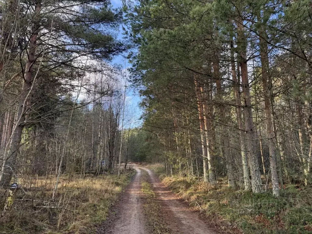 Участок в Ярославская область, Переславль-Залесский муниципальный ... - Фото 1
