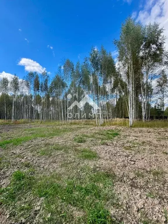 Участок в Ярославская область, Некрасовский муниципальный округ, с. ... - Фото 2