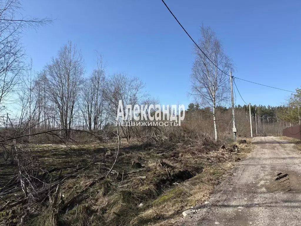 Участок в Ленинградская область, Приозерский район, Плодовское с/пос, ... - Фото 2