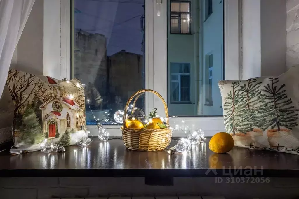 Студия Санкт-Петербург Московский просп., 1/2 (18.0 м) - Фото 2