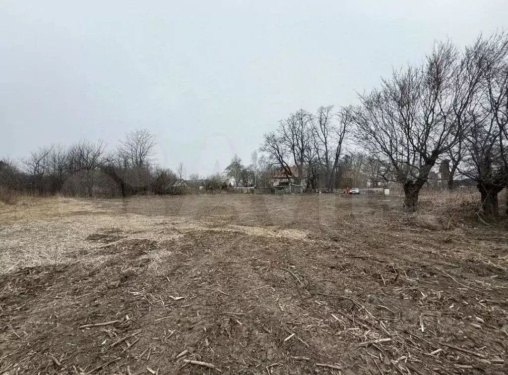 Участок в Калининградская область, Зеленоградский муниципальный округ, ... - Фото 1