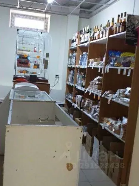 Помещение свободного назначения в Ярославская область, Ярославль пос. ... - Фото 1