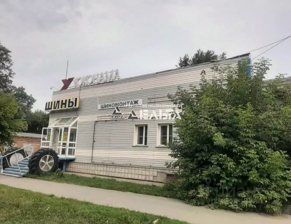 Торговая площадь в Новосибирская область, Новосибирск ул. Петухова, 67 ... - Фото 1