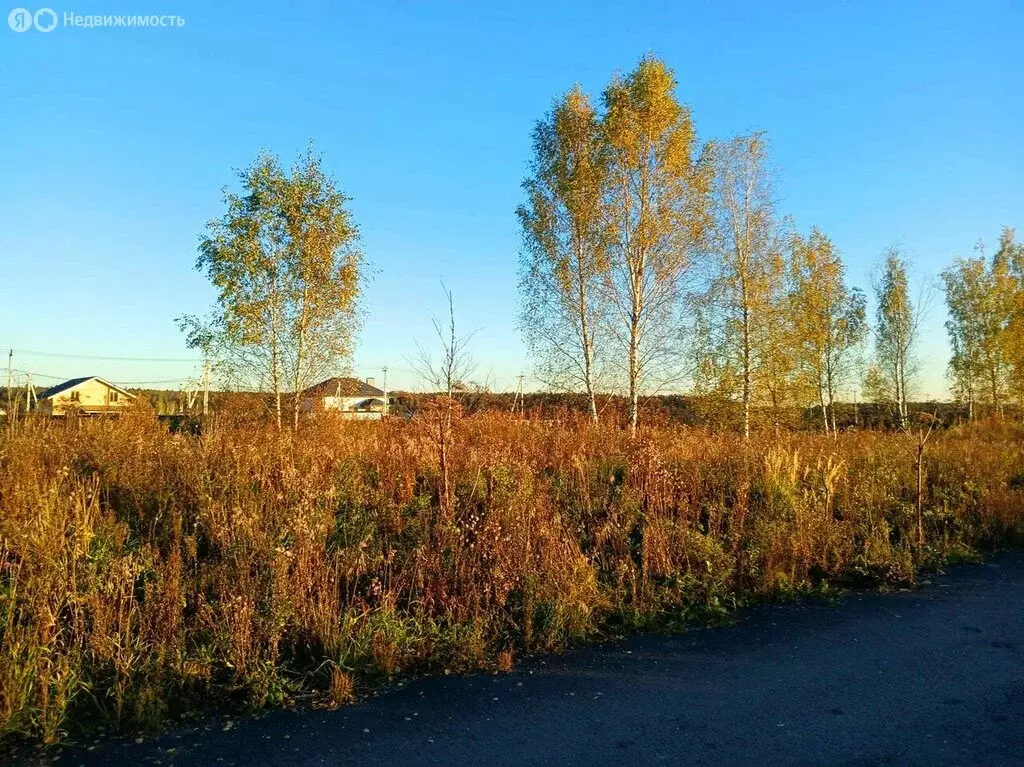 Участок в Московская область, муниципальный округ Истра, деревня ... - Фото 2