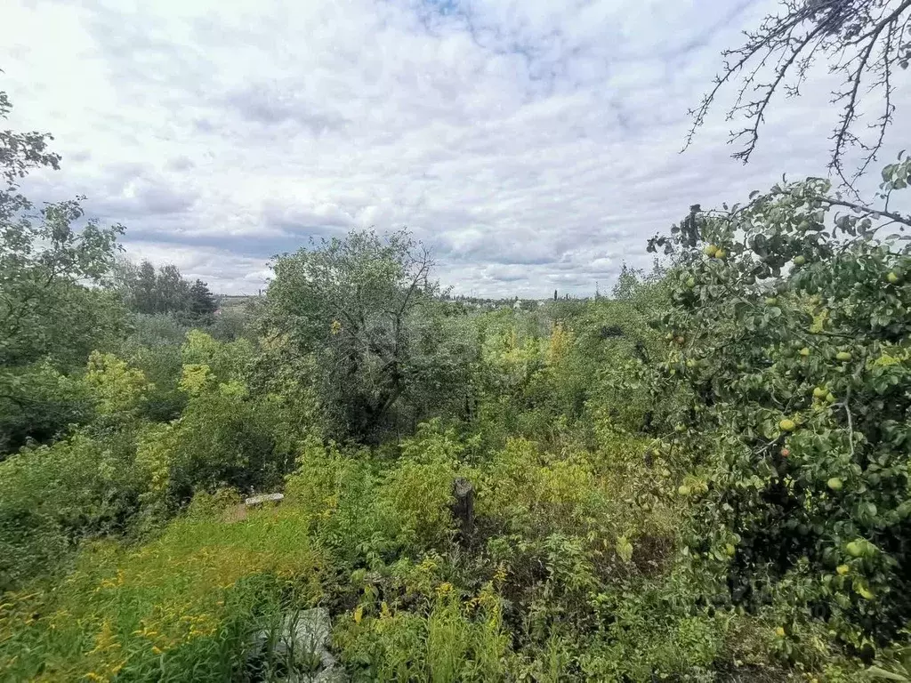 Дом в Саратовская область, Саратов ул. Златодольская (39 м) - Фото 1
