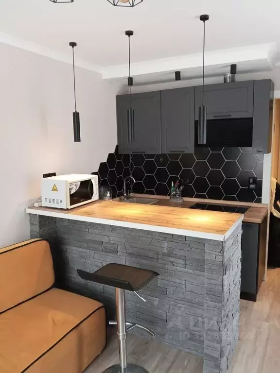 1-к кв. Московская область, Пушкинский городской округ, с. Тарасовка ... - Фото 1