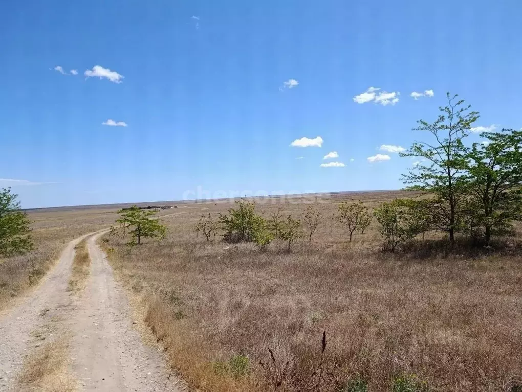 Участок в Крым, Сакский район, Веселовское с/пос, с. Наташино ул. 50 ... - Фото 1