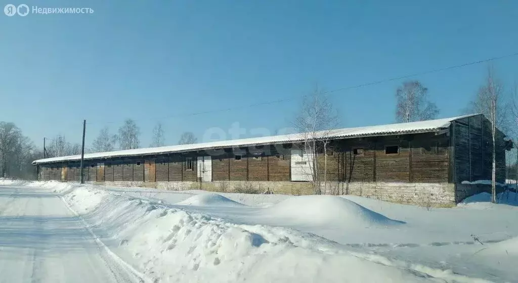 Участок в Бабаево, улица Мира (56.05 м) - Фото 1