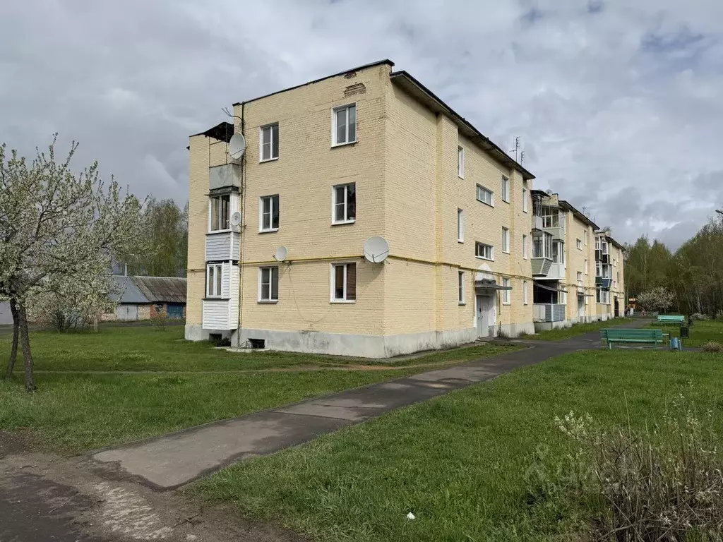 3-к кв. Московская область, Егорьевск муниципальный округ, пос. Шувое ... - Фото 1