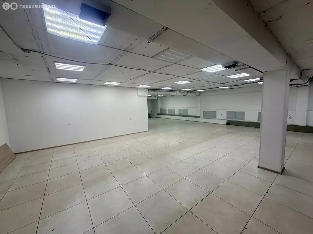 Помещение свободного назначения (263.6 м) - Фото 2