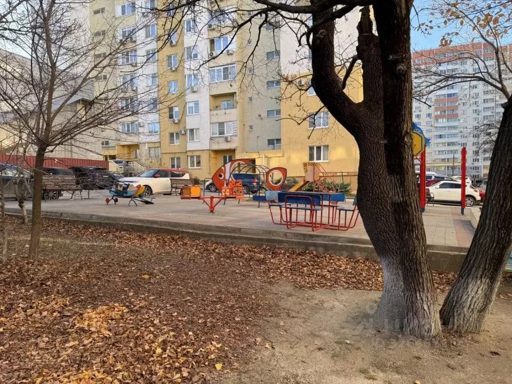 1-к кв. Краснодарский край, Новороссийск ул. Тобольская (20.8 м) - Фото 1