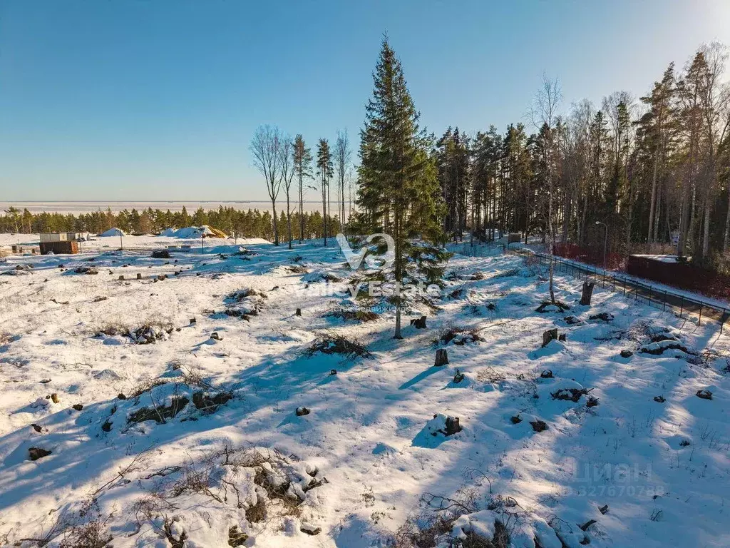 Участок, 19 сот., поселения (ижс) - Фото 2