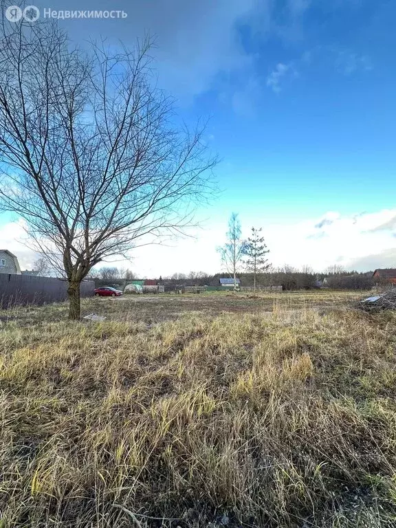 Участок в Московская область, городской округ Шатура, село Филисово ... - Фото 1