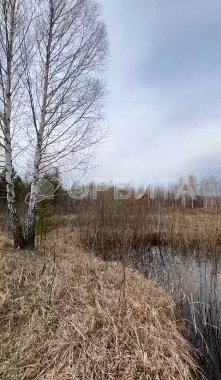 Участок в Тюменская область, Нижнетавдинский муниципальный округ, ... - Фото 2