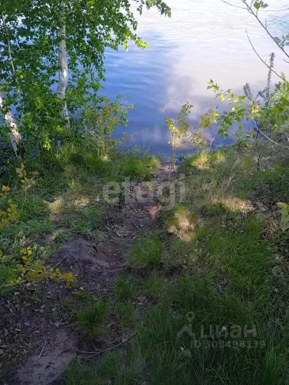 Дом в Омская область, Омский район, Новоомское с/пос, Зеленый Берег ... - Фото 1