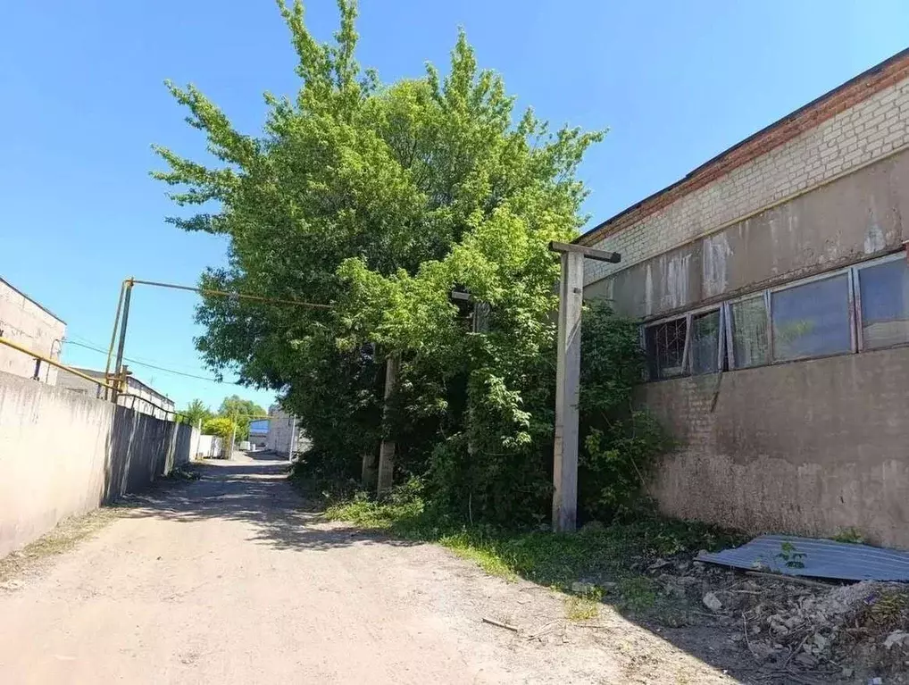 Производственное помещение в Белгородская область, Белгород ул. ... - Фото 2