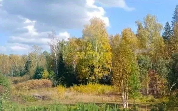 Участок в Свердловская область, Белоярский муниципальный округ, Малина ... - Фото 1