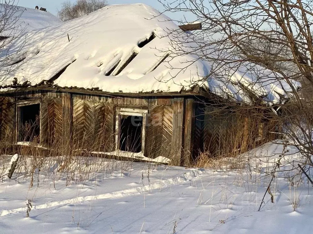 Дом в Кемеровская область, Березовский Логовая ул. (50 м) - Фото 1