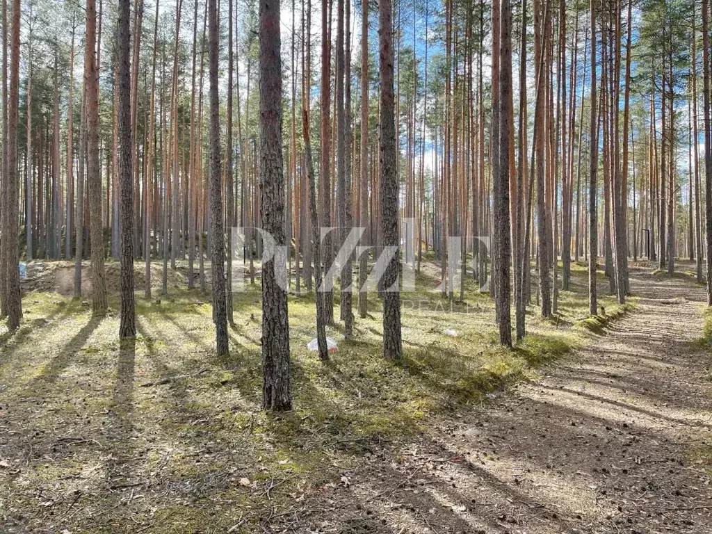 Участок в Ленинградская область, Приозерский район, Петровское с/пос, ... - Фото 0