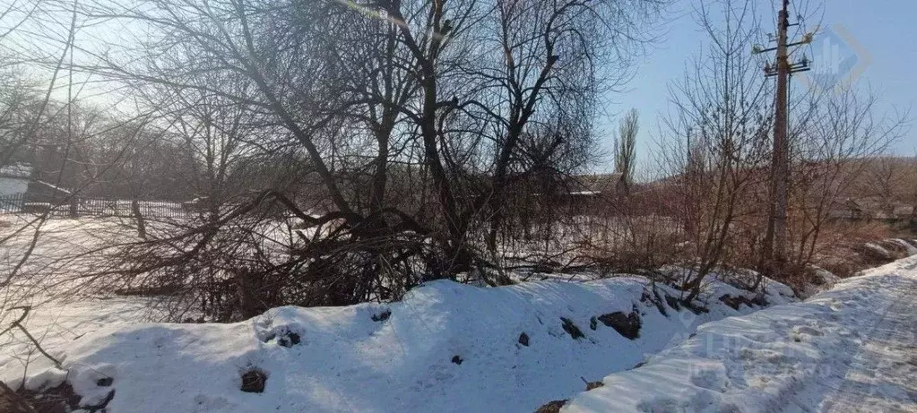 Участок в Приморский край, Партизанский муниципальный округ, пос. Боец ... - Фото 2