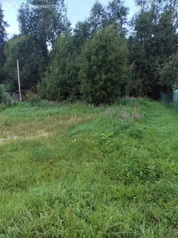 Участок в Волосовский район, Бегуницкое сельское поселение, садовое ... - Фото 1