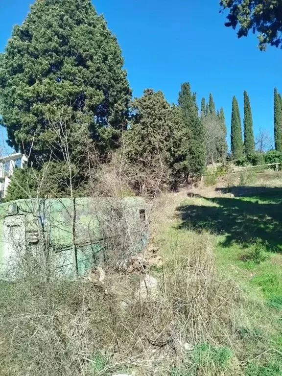 Участок в Крым, Ялта ул. Мухина, 1К (12.0 сот.) - Фото 2