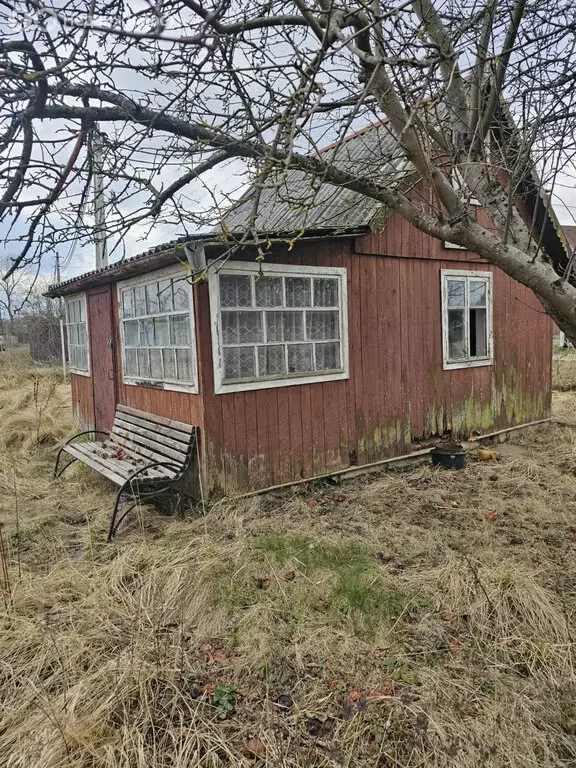 Участок в Калининград, СНТ Янтарь, 7-я линия (8.7 м) - Фото 0