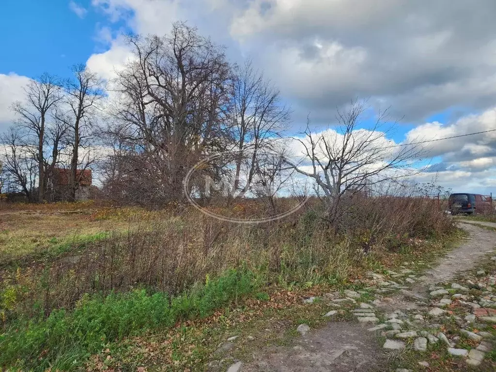 Участок в Калининградская область, Зеленоградский муниципальный округ, ... - Фото 2