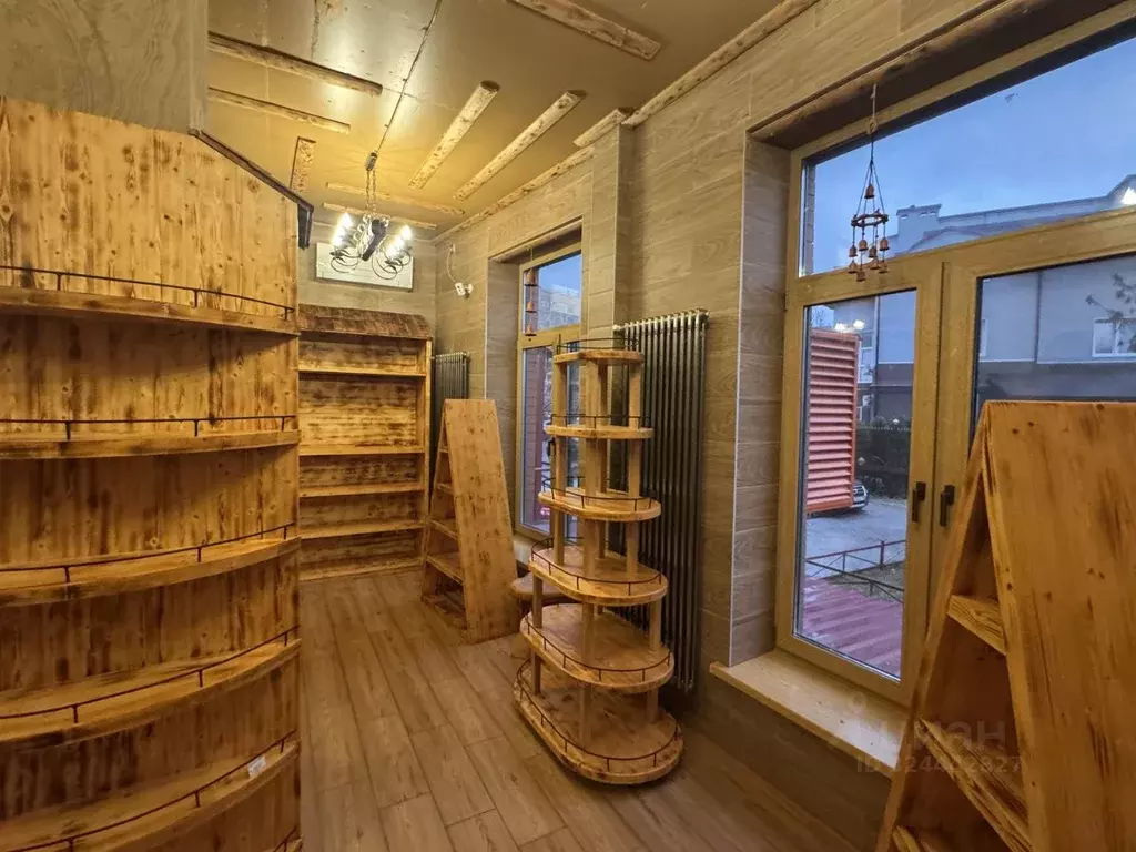 Помещение свободного назначения в Московская область, Ивантеевка ... - Фото 2