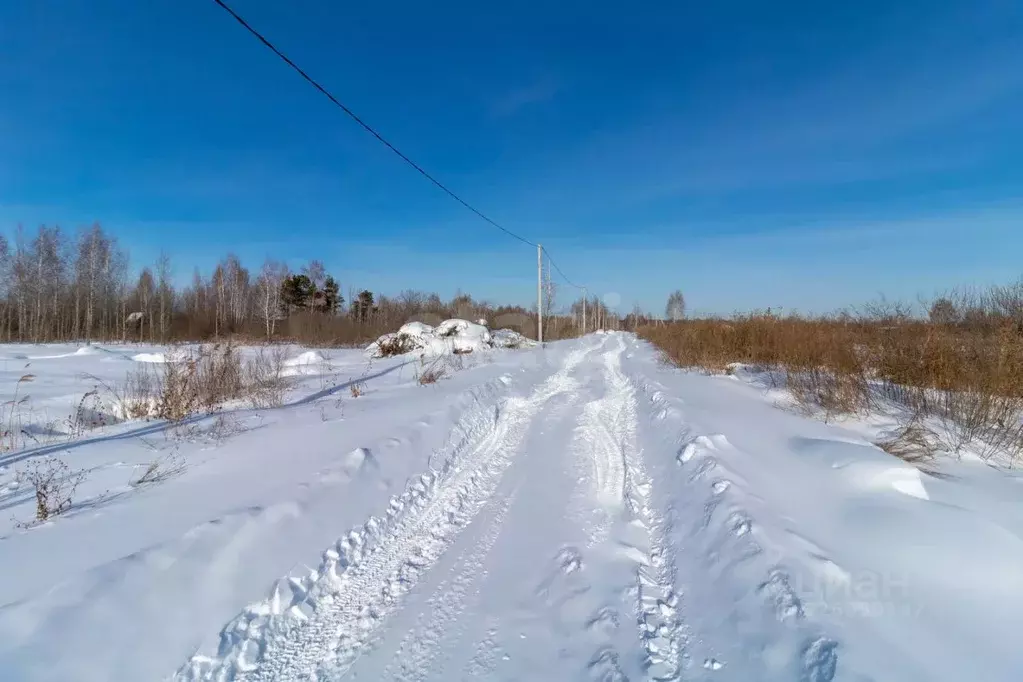 Участок в Тюменская область, Тюмень Поле Чудес садовое товарищество, ... - Фото 1