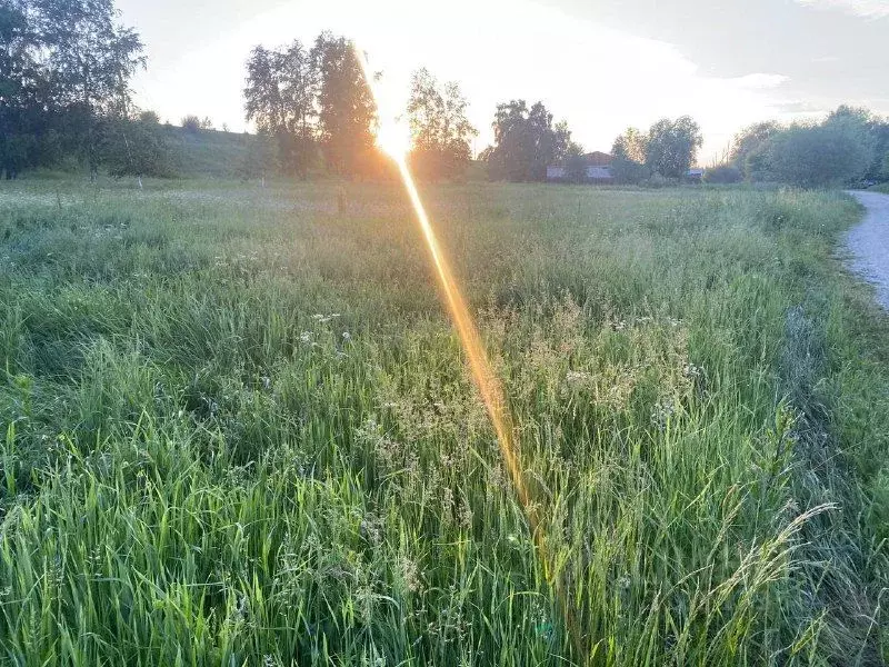 Участок в Иркутская область, Иркутский муниципальный округ, с. ... - Фото 1