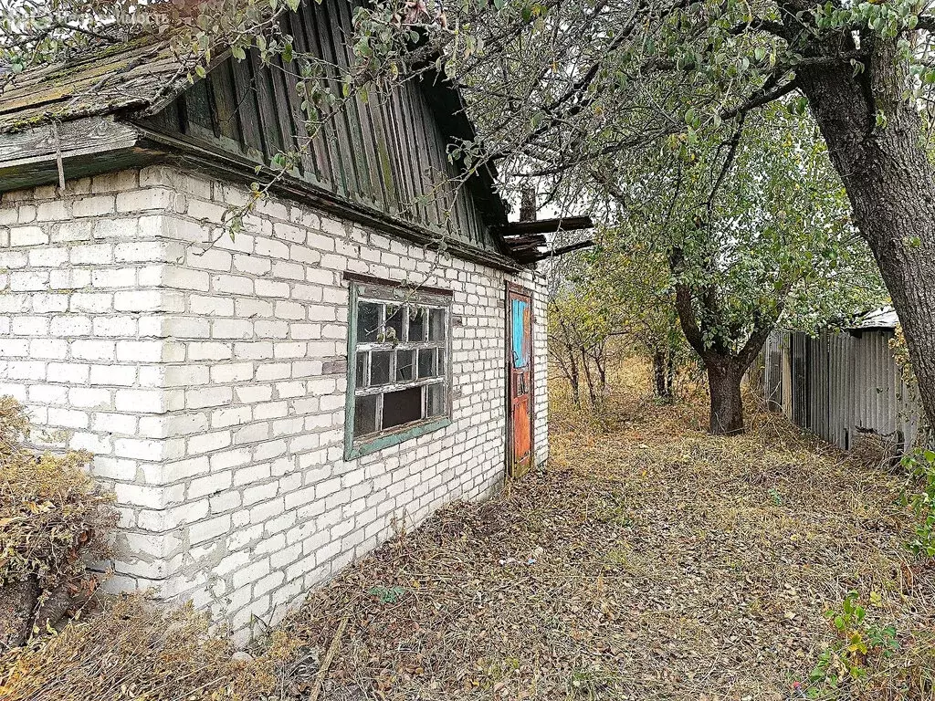 Дом в Брянск, садоводческое объединение Садовод, 441 (20 м) - Фото 0