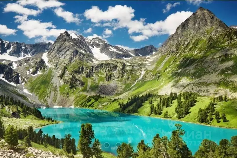 Участок в Алтай, Чемальский район, Элекмонарское с/пос, Седьмое Небо ... - Фото 1