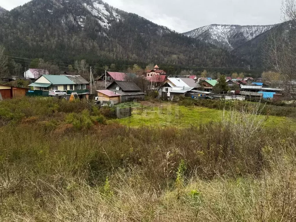 Участок в Алтай, Майминский район, с. Усть-Муны Березовая ул. (16.0 ... - Фото 1