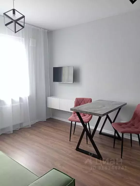 Студия Санкт-Петербург дор. Муринская, 31к2 (20.0 м) - Фото 1