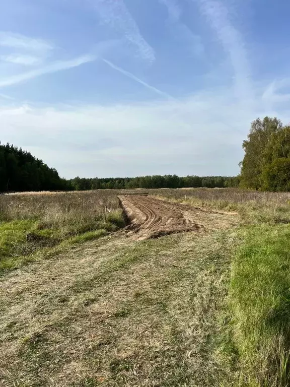 Участок в Московская область, Раменский муниципальный округ, Опушкино ... - Фото 2