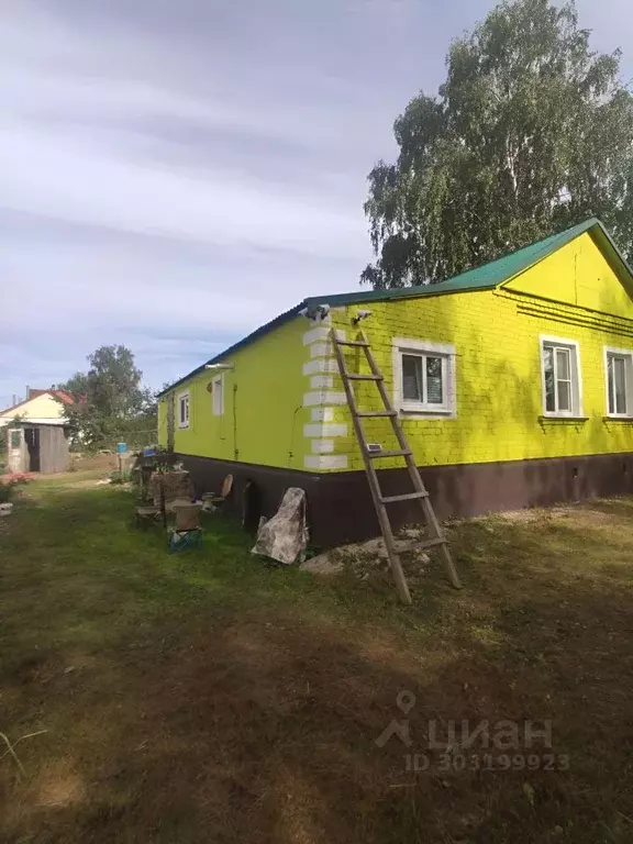 Дом в Рязанская область, Спасский район, Панинское с/пос, с. Панино ... - Фото 1