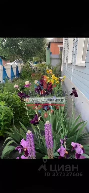 Дом в Белгородская область, Шебекино Красноармейская ул., 13 (65 м) - Фото 2