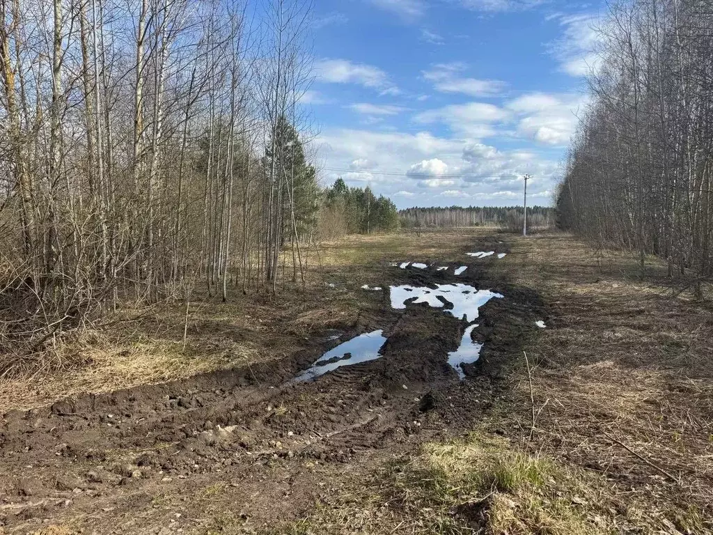 Участок в Московская область, Богородский городской округ, д. Тимково  ... - Фото 1