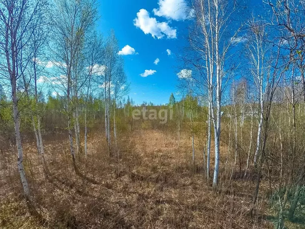 Участок в Тюменская область, Нижнетавдинский муниципальный округ, ... - Фото 1