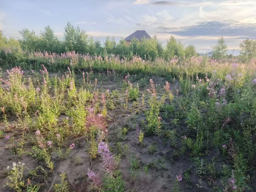 Участок в Тюменская область, Тюменский муниципальный округ, ... - Фото 0