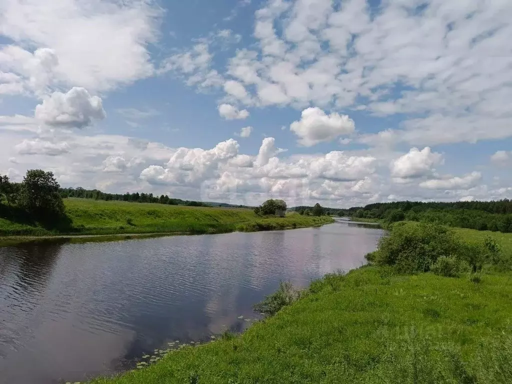 Участок в Тверская область, Калининский муниципальный округ, д. ... - Фото 1