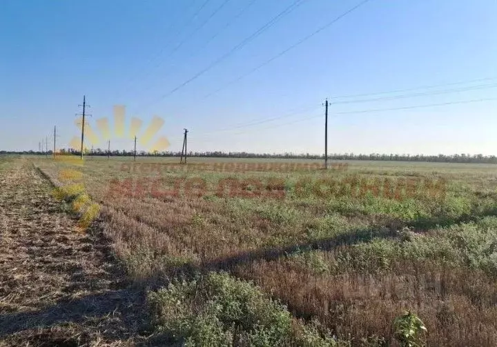 Участок в Краснодарский край, Ейск Весна садоводческое товарищество,  ... - Фото 1