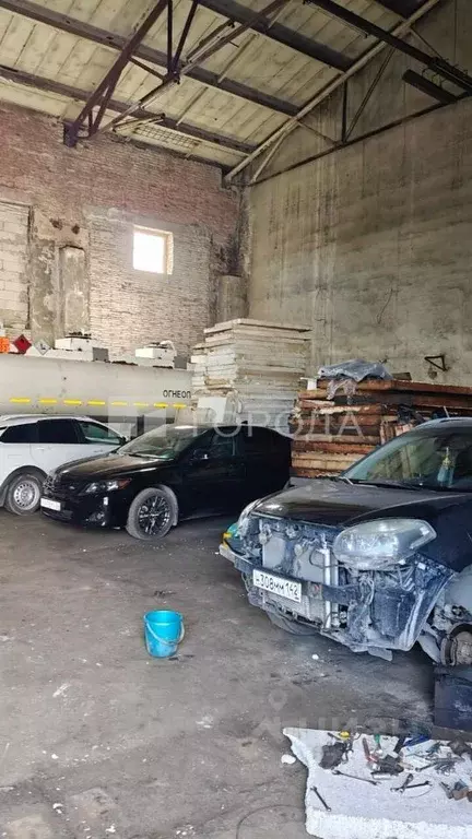 Помещение свободного назначения в Новосибирская область, Новосибирск ... - Фото 2