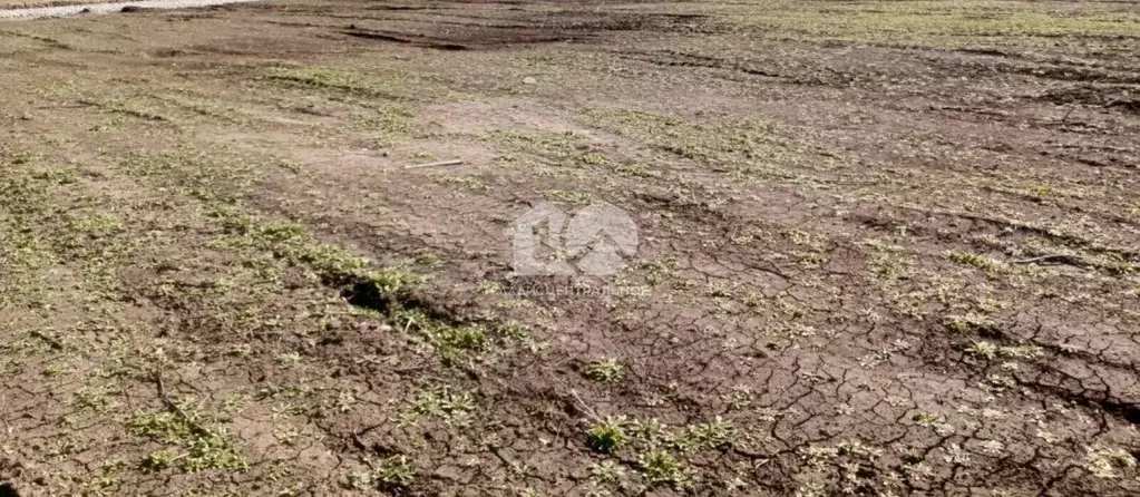 Участок в Новосибирская область, Искитимский район, Мичуринский ... - Фото 2