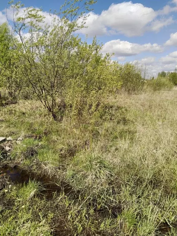 Участок в Московская область, Орехово-Зуевский городской округ, д. ... - Фото 0
