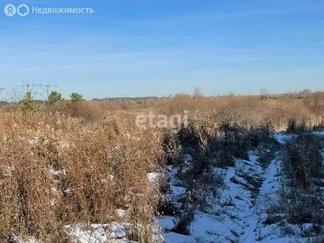 Участок в Алапаевск, Янтарная улица (8.1 м) - Фото 0
