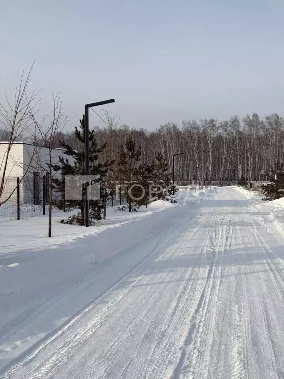 Участок в Новосибирская область, Новосибирский район, Криводановский ... - Фото 1