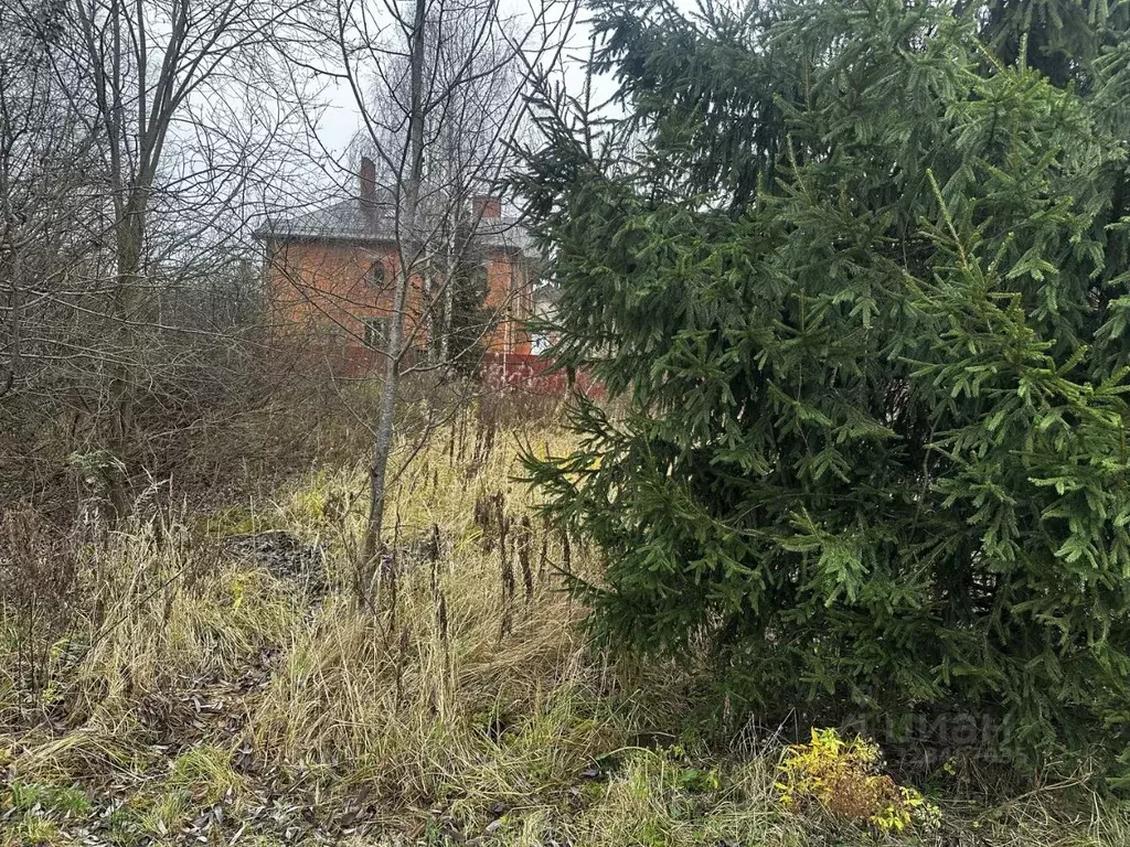 Участок в Московская область, Дмитровский муниципальный округ, с. ... - Фото 1